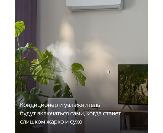  Датчик температуры и влажности Yandex YNDX-00523 белый 