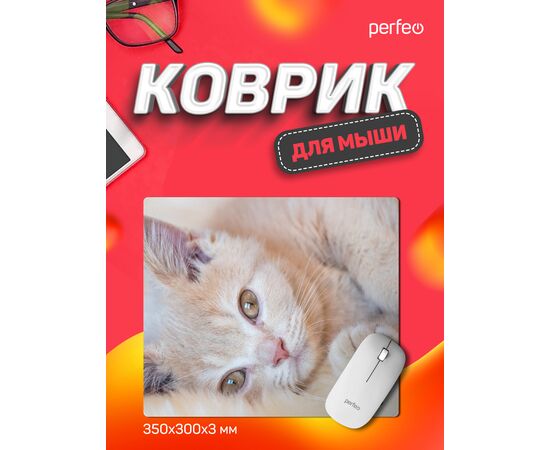 Коврик для компьютерной мыши "Cat", Рис.4 (350*300*3 мм), ткань+резиновое основание 