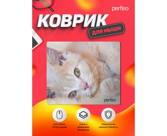 Коврик для компьютерной мыши "Cat", Рис.4 (350*300*3 мм), ткань+резиновое основание 